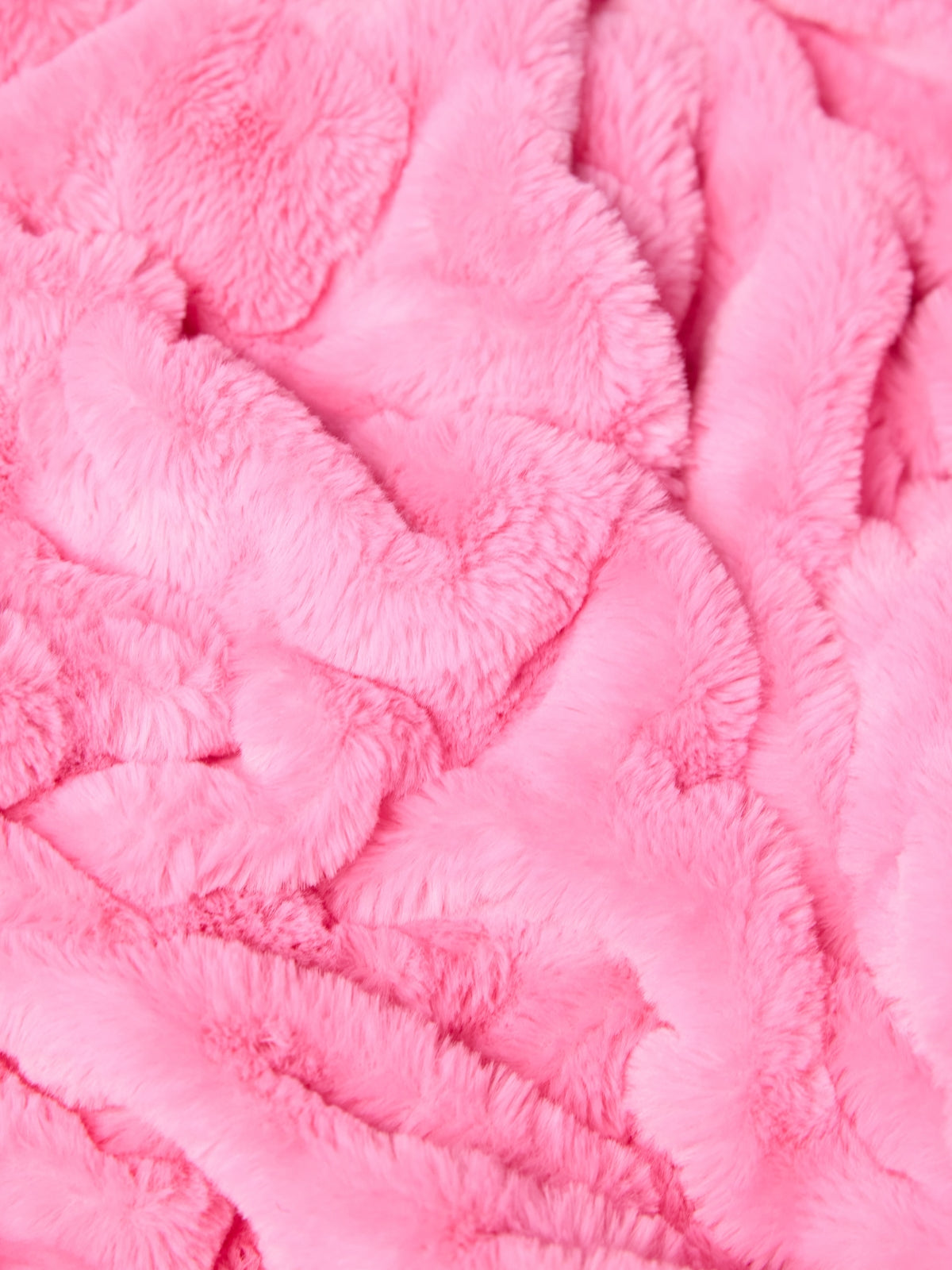 Cotton Candy